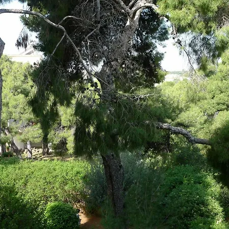 Deluxe In Vouliagmeni Apartment